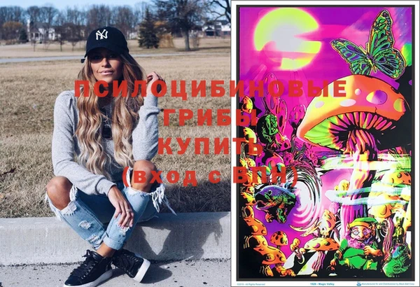 соль ск Алзамай